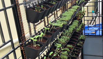 Trinity I.C.R Enterprises