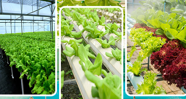 Trinity I.C.R Enterprises