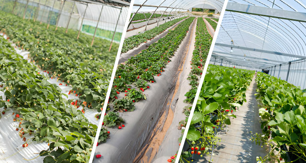 Trinity I.C.R Enterprises